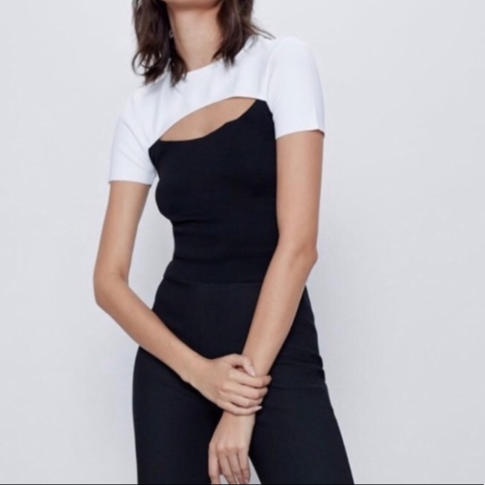 Zara knit cutout contrast top
